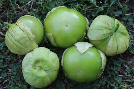 Tomatillo | Aurora | Biologico | Semi | Demetra | Primoza | Il - Foto 3