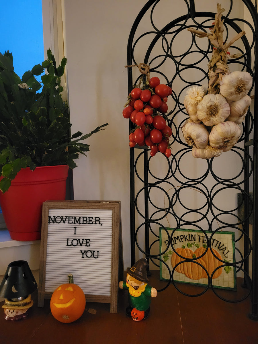 Tomato, Tomaquet de Penjar Landrace Ramallet – Giving Ground Seeds