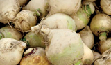 Slow Food Ark of Taste Package