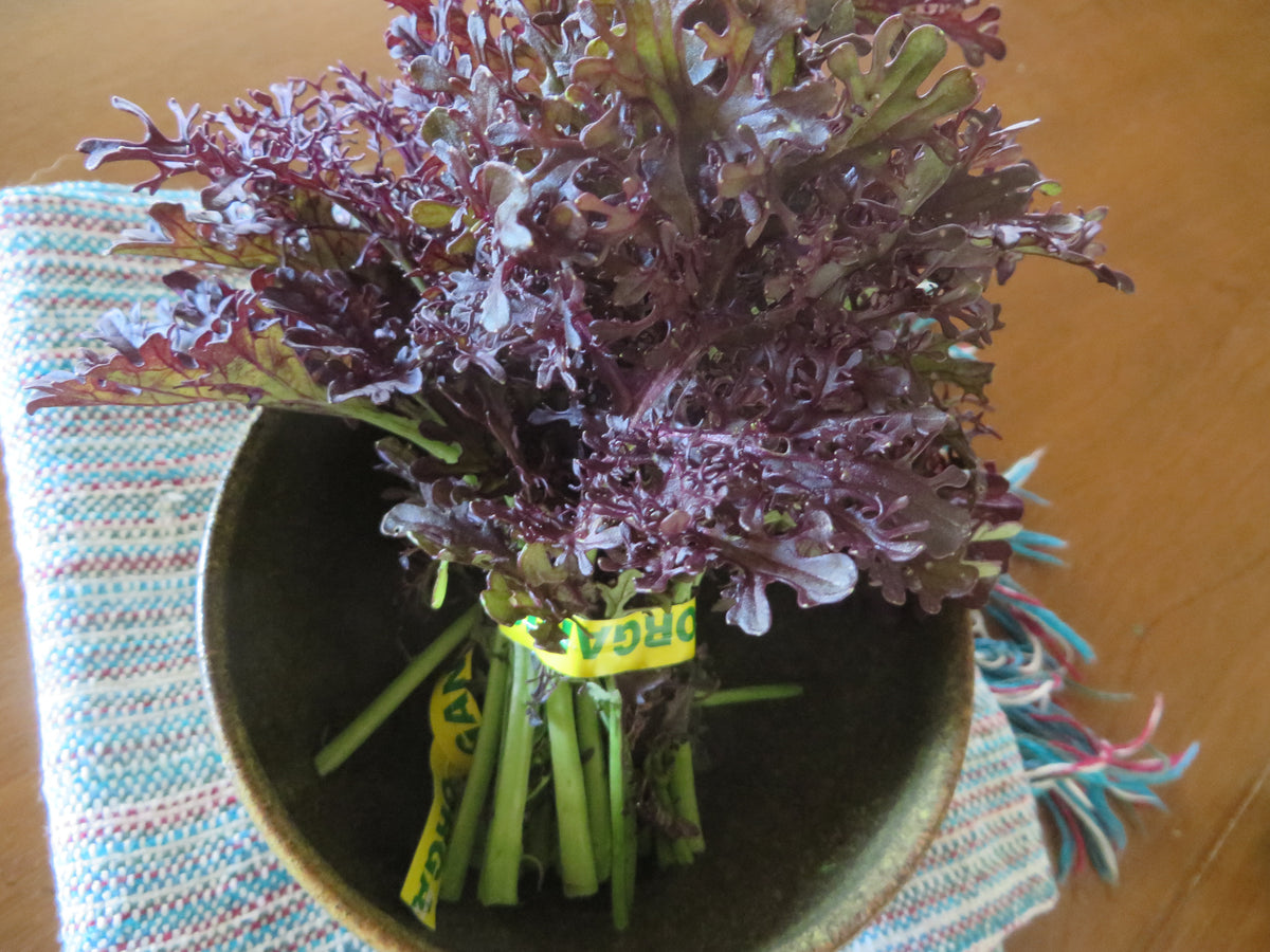 Mustard, Frizzy Lizzy Giving Ground Seeds