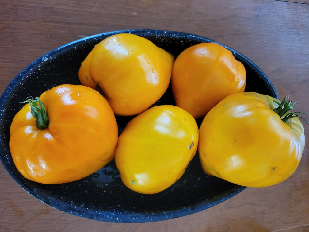 Tomato, Liskin Nos or Fox Nose – Giving Ground Seeds