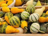Winter Squash, Small Ornamental Gourd Mix