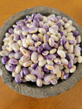 Bean, Blooming Prairie