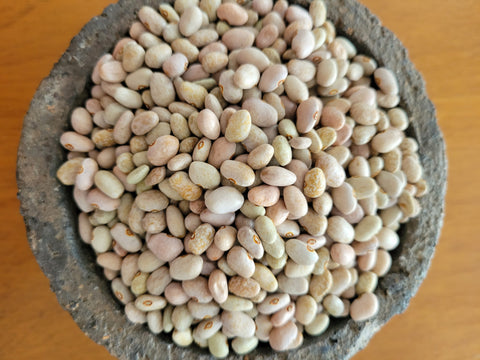 Tepary Bean, Brown Speckled