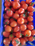 Tomato, Bellstar