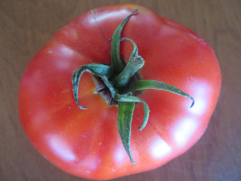 Tomato, Cosmonaut Volkov