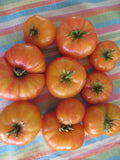 Tomato, Dwarf Russian Swirl
