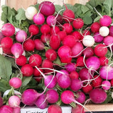 Container Garden Package