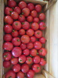Tomato, Eva Purple Ball