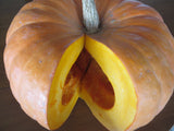 Winter Squash, To the Max Maxima Population