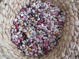 Bean, Lofthouse Landrace