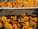 Winter Squash, To the Max Maxima Population