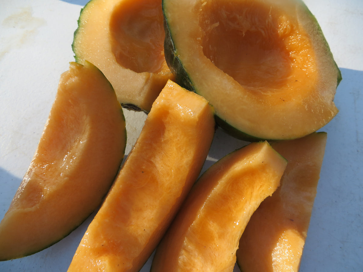 Melon, Noir de Carmes Giving Ground Seeds