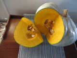 Winter Squash, Sweet Meat Oregon Homestead