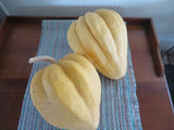 Winter Squash, Thelma Sanders Sweet Potato Acorn