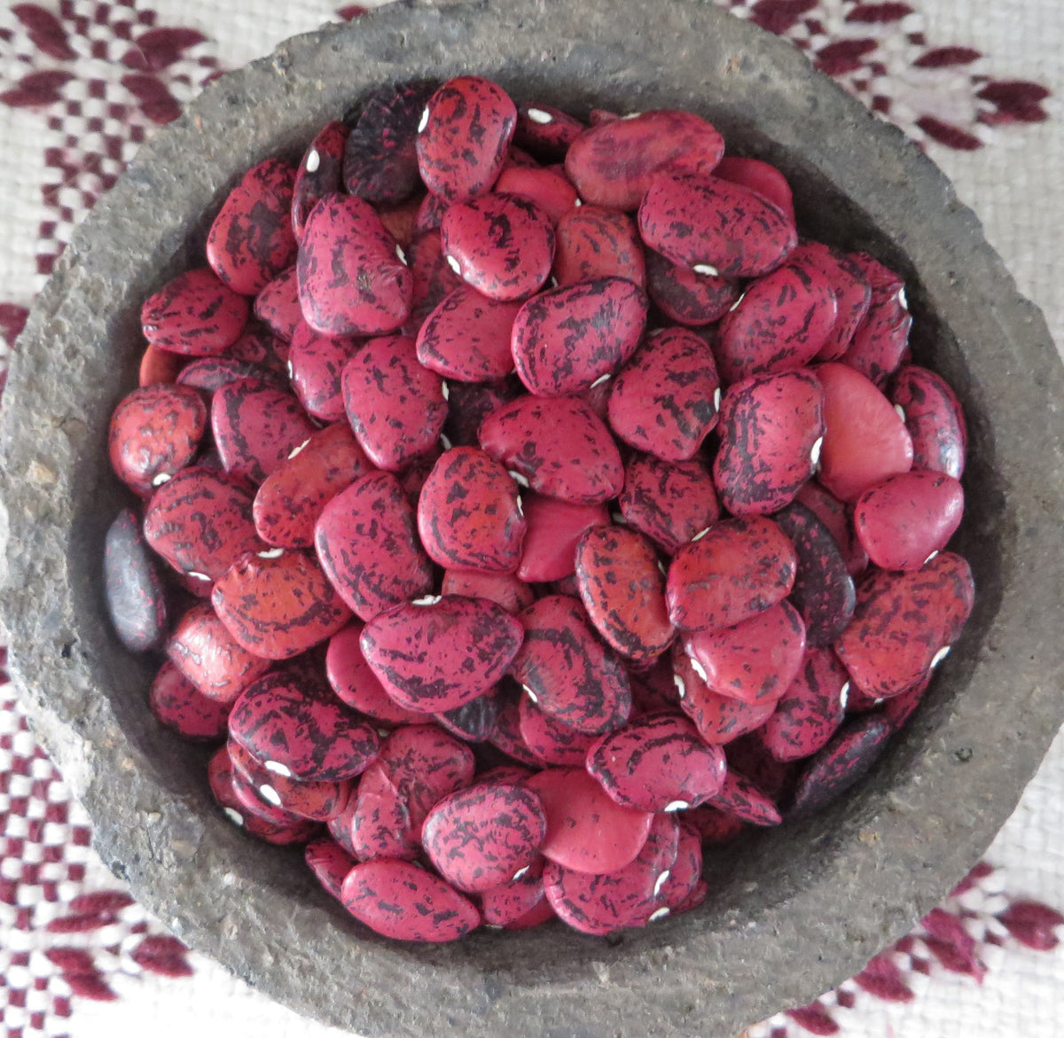Lima Bean, Kay Young's Red Soup – Giving Ground Seeds