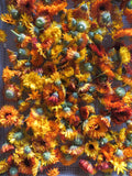 Calendula Mix