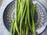 Cowpea, Fast Lady