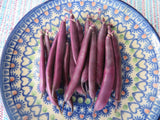Bean, Blooming Prairie