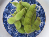 Soybean, Zolta Z Zolna