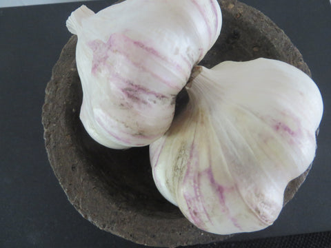 Garlic, Inchelium Red (Pre-order, ships late August 2024)