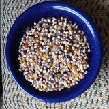 Popcorn, Lofthouse Landrace