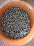 Pea, Manoa Sugar Snow