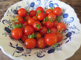 Taste a Rainbow Cherry Tomato Package