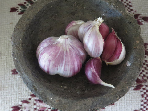 Garlic, Pescadero Red (Pre-order, ships late August 2024)