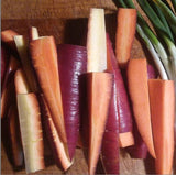 Carrot, Rouge Sang Violette