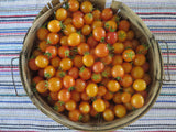 Taste a Rainbow Cherry Tomato Package