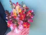 Mother's Day Gift Package