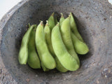 Soybean, Zolta Z Zolna