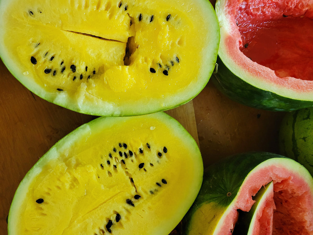 Saving Watermelon Seeds