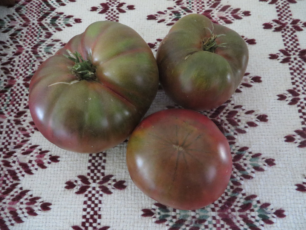 Green Shouldered Tomatoes- An Heirloom Favorite