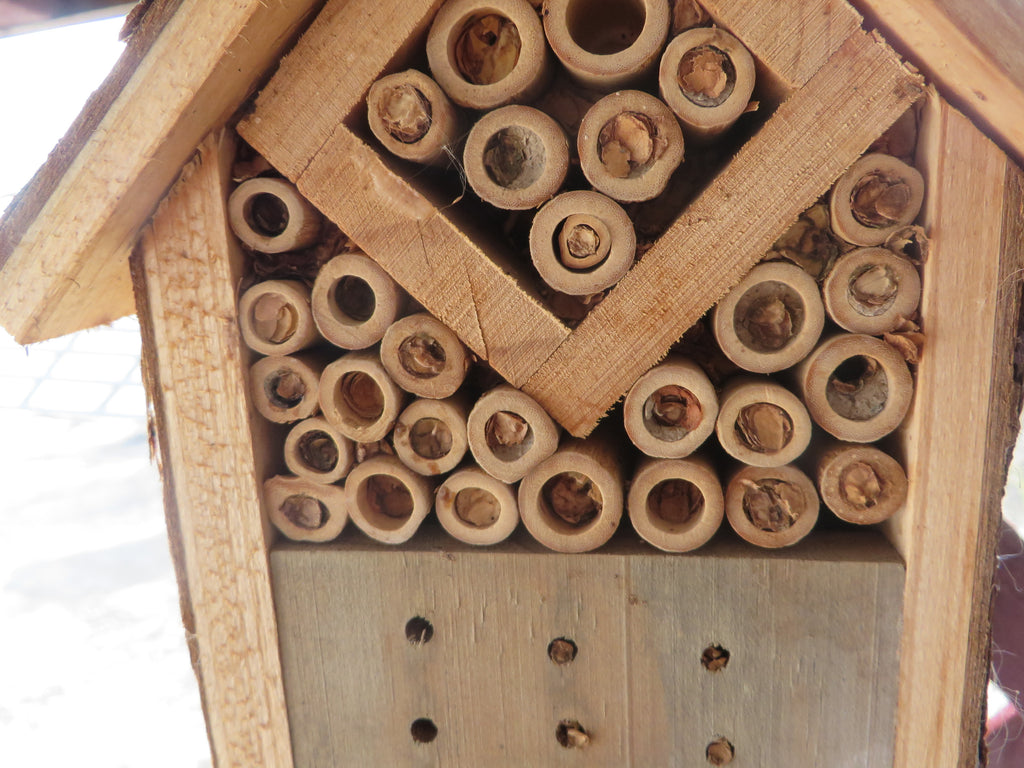 Make Your Own Mason Bee Nest
