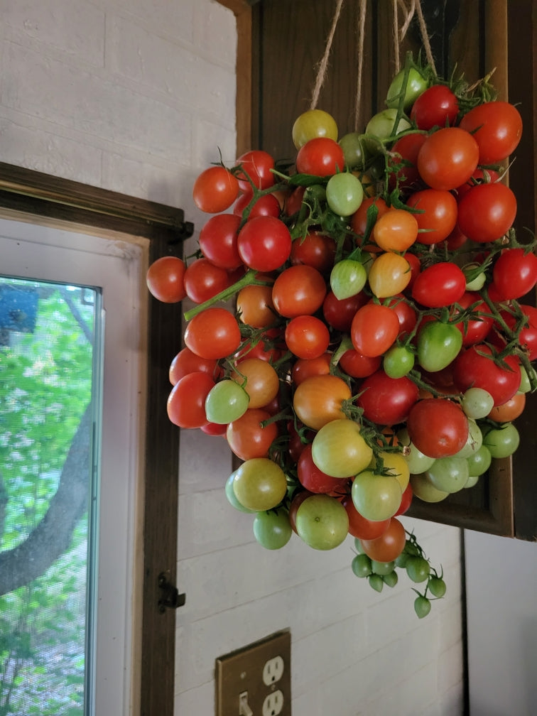 Ramallet Tomatoes