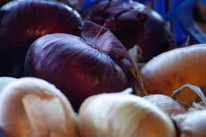 Curing and storing onions for longest shelf life