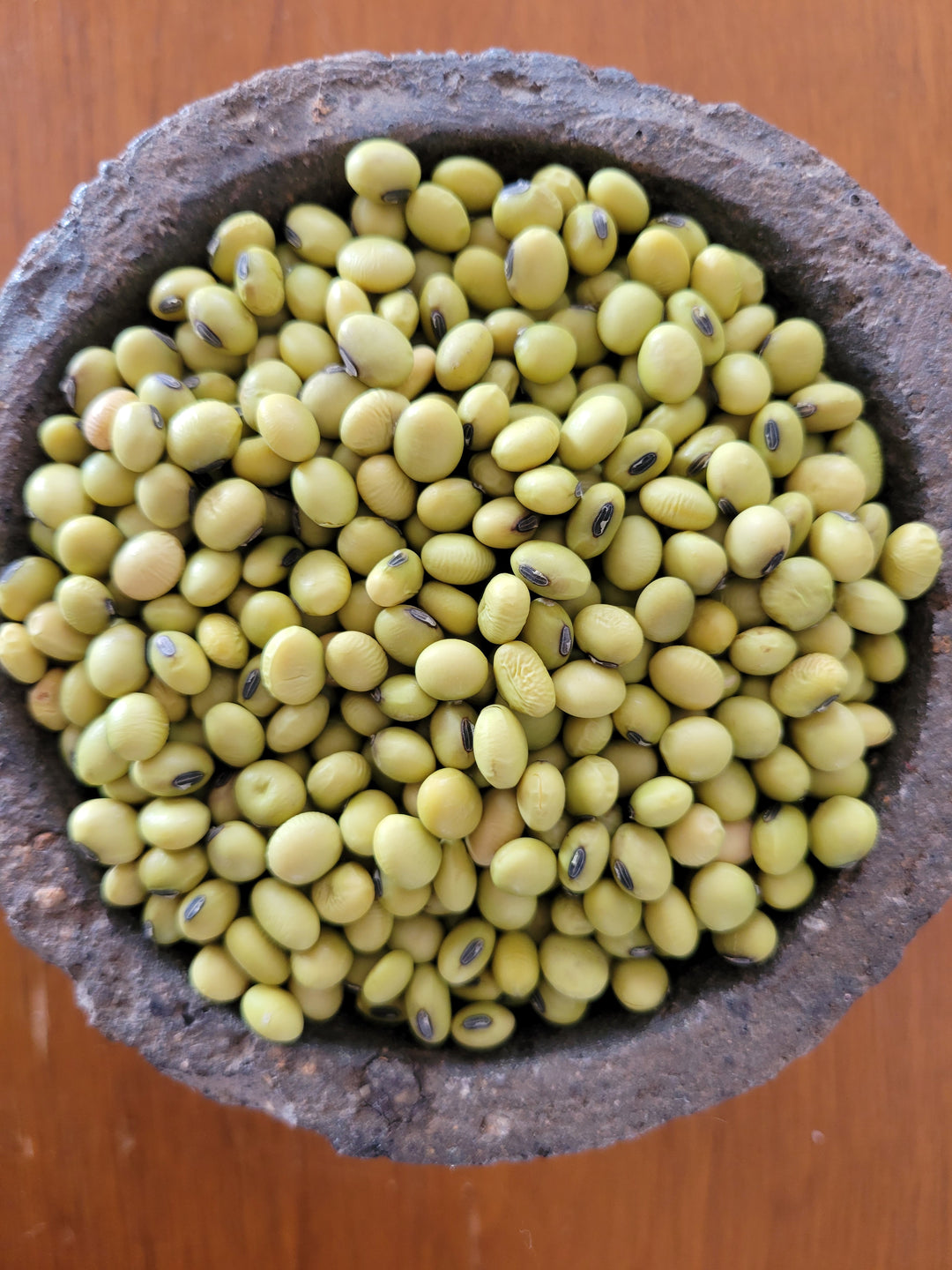 Soybean – Giving Ground Seeds