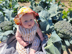 Broccoli, Umpqua