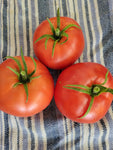 Tomato, Cosmonaut Volkov