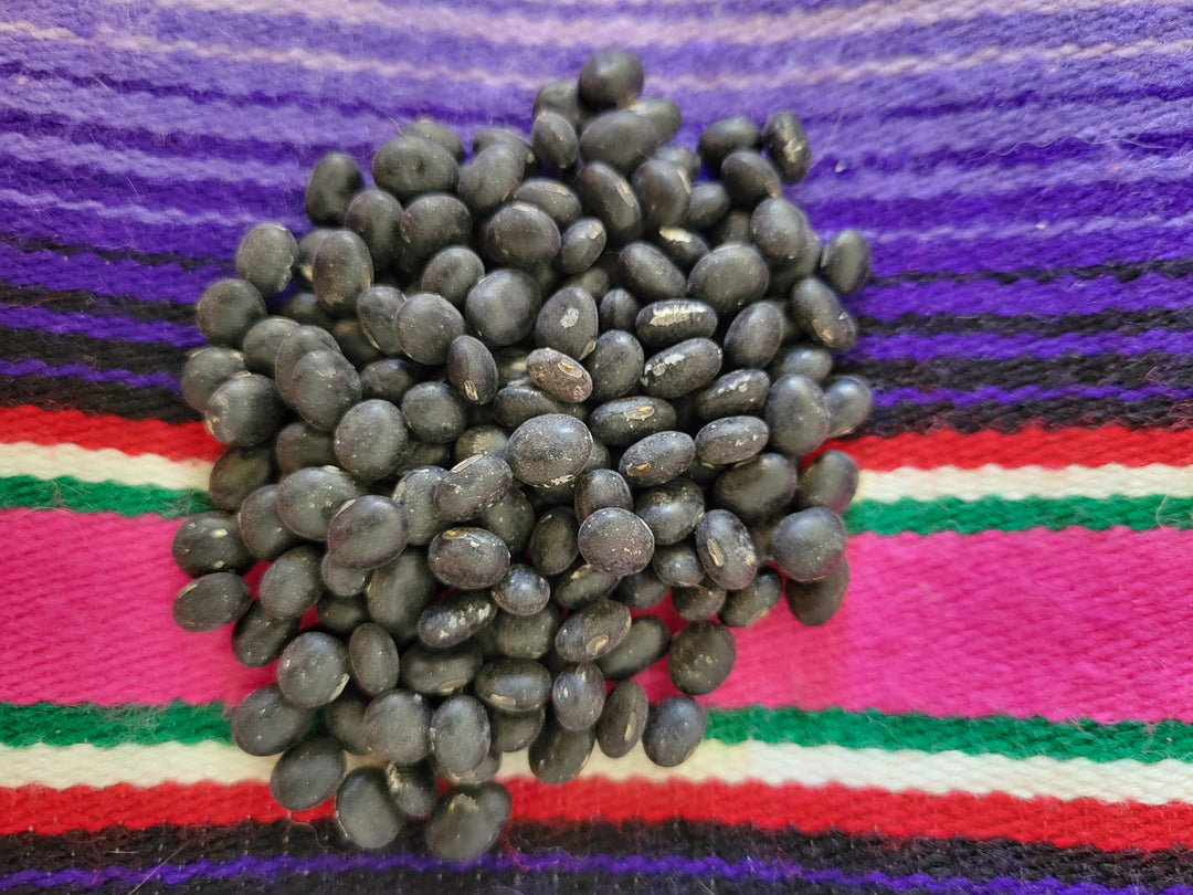 Soybean – Giving Ground Seeds