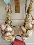 Garlic, Red Toch (Pre-order, ships late August 2025)