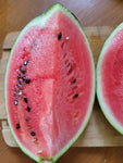 Watermelon, Lofthouse Landrace