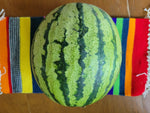 Watermelon, Lofthouse Landrace