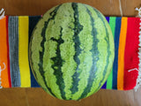 Watermelon, Lofthouse Landrace