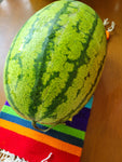Watermelon, Lofthouse Landrace