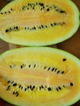 Watermelon, Lofthouse Landrace