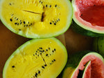 Watermelon, Lofthouse Landrace