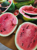 Watermelon, Lofthouse Landrace